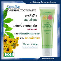 ยาสีฟัน ช่วยแก้ปัญหาเหงือกบวม แผลในปาก ผสมดอกเก็กฮวย ตรา กิฟฟารีน 160กรัม  Bio Herbal Toothpaste with Chrysanthemum &amp; Echinacea Extract