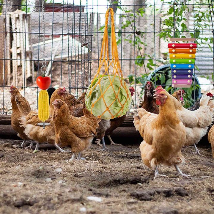 chicken-toys-for-hens-chicken-xylophone-toy-chicken-bridge-swing-toys-chicken-pecking-toys-chicken-mirror-toys