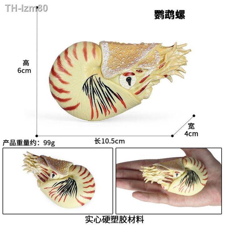 ของขวัญ-simulation-model-of-marine-animal-toys-children-ancient-biological-nautilus-conch-aquarium-scenes-furnishing-articles