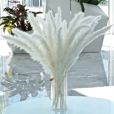 30pcs White Fluffy Pampas Grass Natural Dried Flowers Boho Home Room Decor Artificial Flower Phragmites Wedding Party Decoration