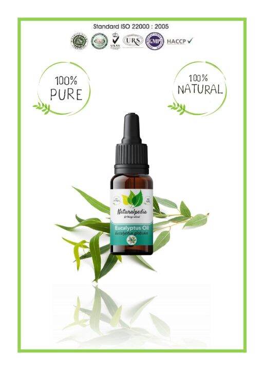 Pure Eucalyptus Essential Oil 10ml / Minyak Atsiri Esensial Eucaliptus ...