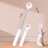 ❉ Interactive Teaser Wand Toys For Cats Pet Accessories Products Laser Pointer Pen Stickers Poster Smart Cat PlayToys Pet Supplies