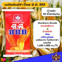 เมล็ดพันธุ์ข้าวโพดCP88 ขนาด 3.5 หุน 10 กิโลกรัม ข้าวโพด ผัก เมล็ดพันธุ์พืช  ข้าวโพดอาหารสัตว์ ต้นแข็งแรง น้ำหนักดี สีสด เมล็ดแกร่ง