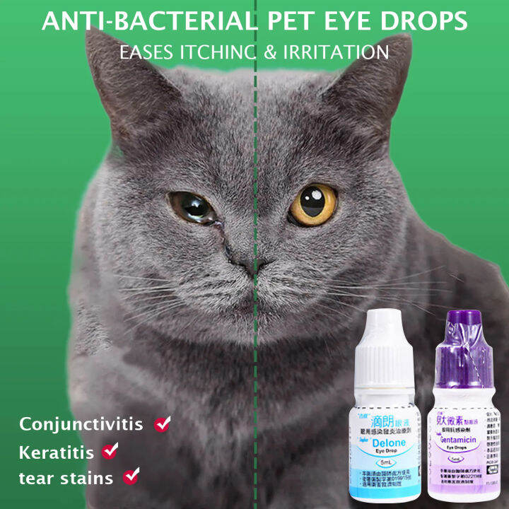 5 ml Gentamicin & Delone 5mL Pet Eye Drops Solution and Treatment for