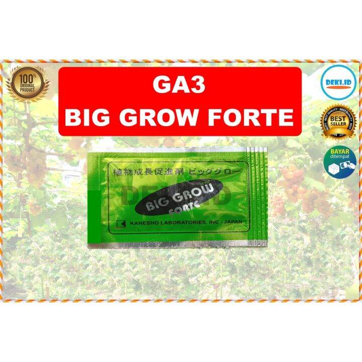 GA3 Big Grow Forte Sachet Hormon Giberelin Acid Biggrow Asam Giberelat ...