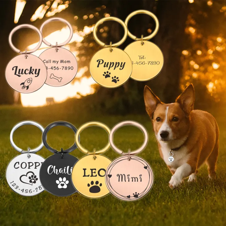Engraving Name Dog Collar Chain Customizable Cat Necklace Identity Tag