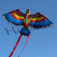 【hot sale】 ☇ B32 Parrot Kite Bird Kites Outdoor Kites Flying Toys Kite For Kids