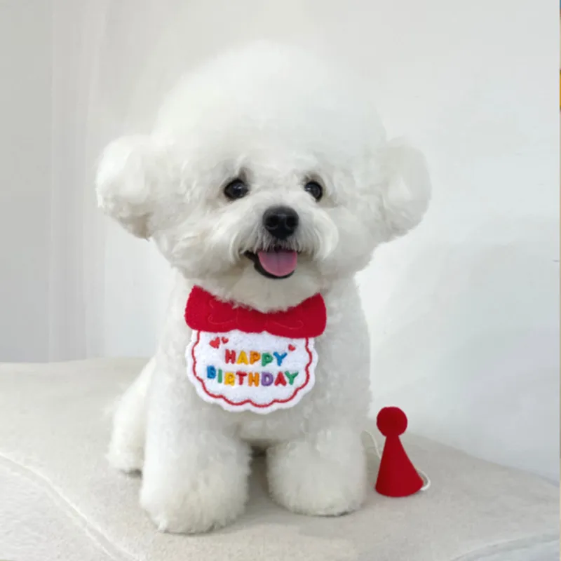 Kakaoppa phong cách Ins Quần áo thú cưng dễ thương chúc mừng sinh nhật tam  giác Bộ khăn mũ quần áo cho chó | Lazada.vn