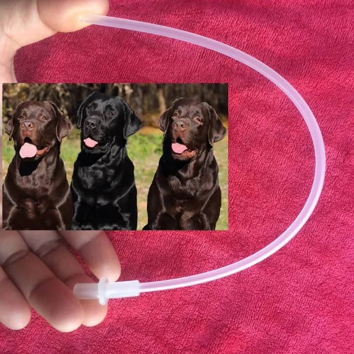 หลอดผสมเทียม ผสมเทียมสัตว์ หมา สุนัข แพะ แกะ Breeding Catheter Tube for