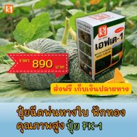 ฟักทอง โตไว ใบเขียว เนื้อแน่น ผลใหญ่ ฉีดพ่นปุ๋ย FK-1 ต้นทุนต่อไร่ถูกกว่าปุ๋ยเม็ด 4เท่า เพิ่มผลผลิตสูงสุด 20เปอร์เซ็นต์