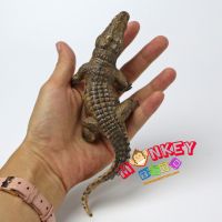 Monkey Toys - โมเดลสัตว์ Crocodile จระเข้ เทาดำ ขนาด 18.50 CM (จากหาดใหญ่)