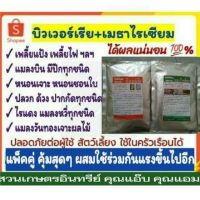 คู่พิฆาตแมลง คู่100g.+100g. บิวเวอร์เรีย+เมธาไรเซียม เพลี้ยแป้ง เพลี้ยไฟ เพลี้ยทุกชนิด ด้วง ปลวก แมลงปากกัด/ดูดทุกชนิด