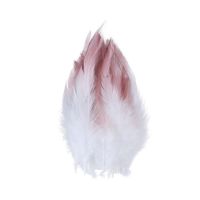 50pcs Double Colors Chicken Feather 4 6inch Plume Diy Jewelry Mask Accessory Feathers Crafts