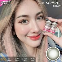 ?มีค่าสายตา? Wink Pimrypie Pimniyom Gray Brown บิ๊กอาย สุดปัง คอนแทคเลนส์ รายเดือน มีอย แถมตลับฟรี  เลนส์นิ่ม สวยปังมาก