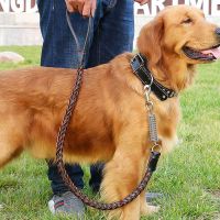 ☋ Leather Dog Leash for Large Dogs Strong Leather Braided Dog Leash with Buffer Spring Pet Traction Rope for German Shepherd Dog