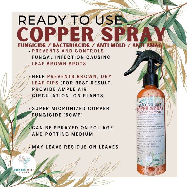 Ready To Use Copper Spray Fungicide 250ML Lazada PH