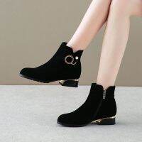 ✔﹉☋ Women 39;s Autumn Suede Ankle Boots Women 39;s Low Heel Boots Size 43 - 2023 Women 39;s - Aliexpress