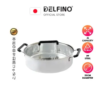 Delfino shop induction cooker