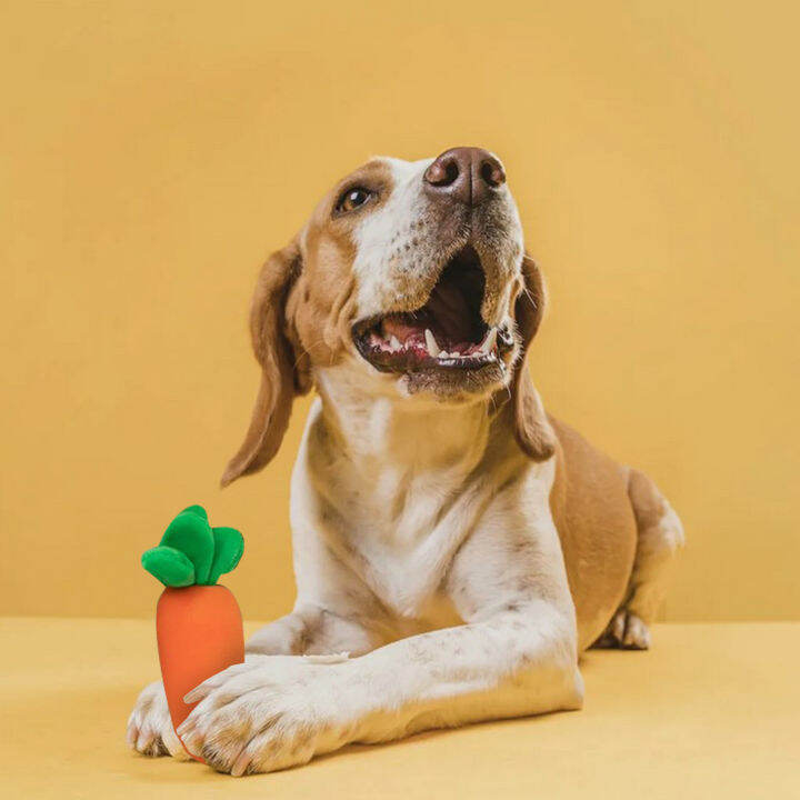 durable-teething-toy-dogs-supplies-for-carrot-cats-pet-chew-interactive-toys-vegetable