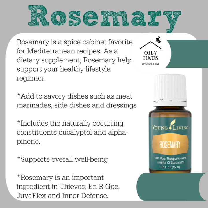 Young Living Rosemary Essential Oil 15ml Lazada PH
