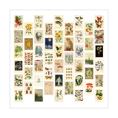 Vintage Aesthetic Wall Collage Kit - 50 Mini Botanical Cottagecore Collage Art Posters (4X6Inch), for Trendy Photo Wall