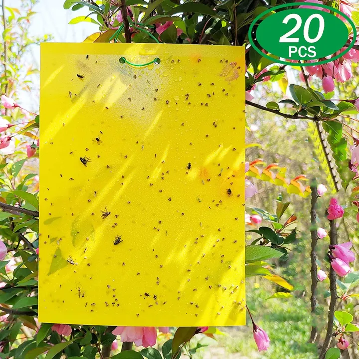 20 Sheets DualSided Yellow Sticky Traps Plastic Sheet Fly Traps for
