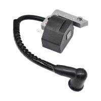 4306401 PS02762 Ignition Coil 308064001 850080001 Compatible With Homelite Ryobi RY30000 RY30002 RY3004 UT08544 UT20026