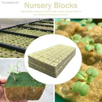 ◘卐卐 100pcs Planting Soilless Cultivation Base Strong Water Absorption Hydroponic Grow Agricultural Media Cubes for Plant Propagation