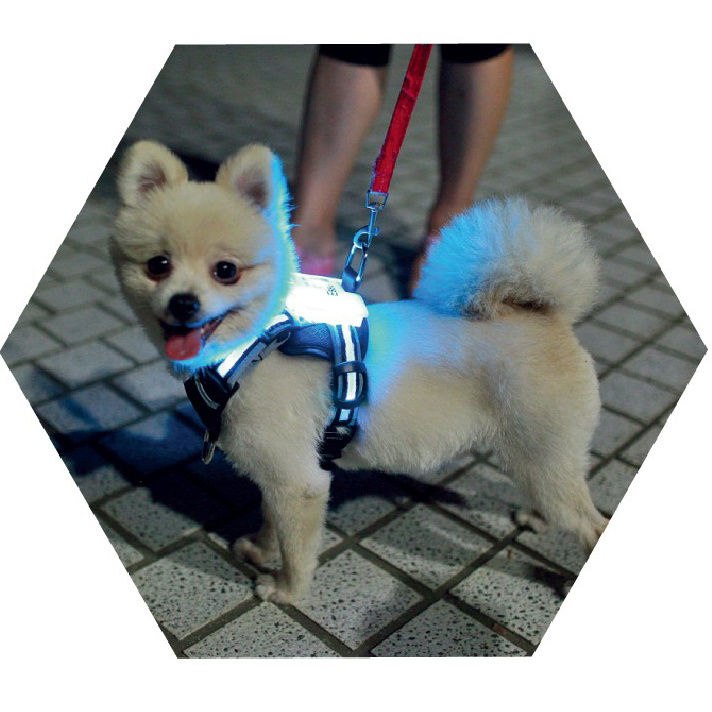 simon-pet-accessory-in-chest-lead-dog-harness-with-led-dog-harness-reflective-lights-personalized-nylon-quick-release-padded-cc