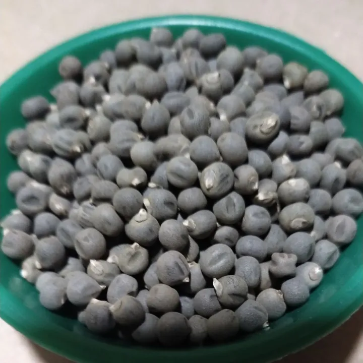 okra seeds Lazada PH