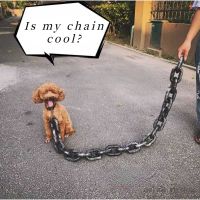 Dog Traction Chain Simulation Iron Chain Plastic Thick Chain Traction Rope Net Red Fun Pet Supplies Dogs Accessories