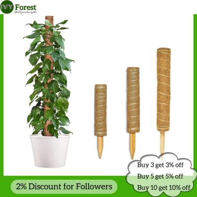 ✆♣✎ 30/40/50cm Plant Climbing Pole Coir Moss Stick Extendable Plant Support for Climbing Indoor Potted Plants Monstera Creepers