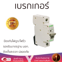 รุ่นใหม่ล่าสุด เบรกเกอร์ เบรกเกอร์ไฟฟ้า เบรกเกอร์ HACO 16A H7-16/1C 1P คุณภาพสูงมาก ผลิตจากวัสดุอย่างดี ไม่ลามไฟ รองรับมาตรฐาน มอก. Circuit Breakers จัดส่งฟรีทั่วประเทศ