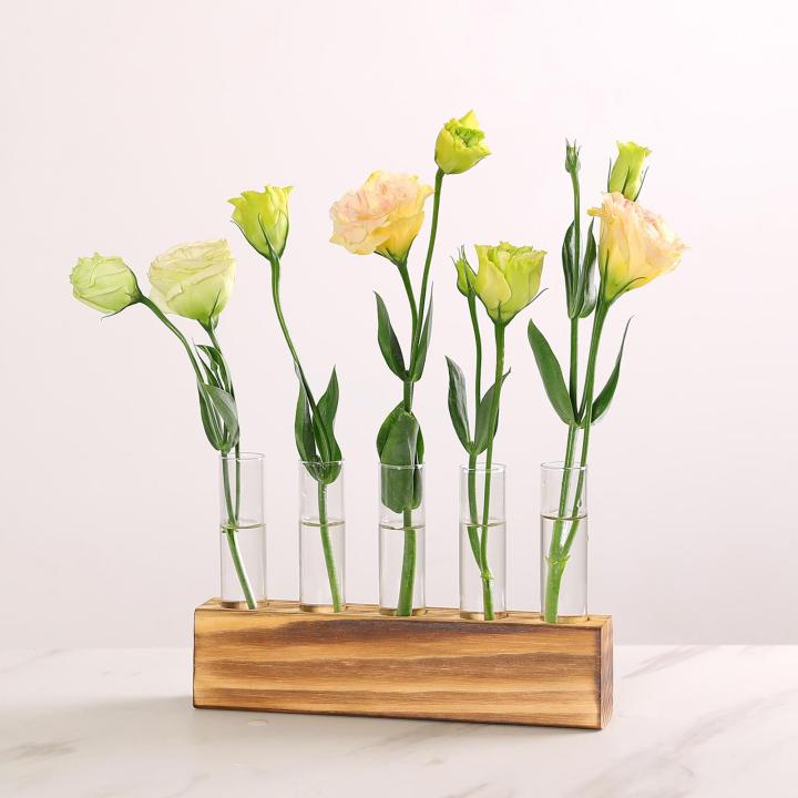 toolsnest-ชุดกระถางดอกไม้ตกแต่งโต๊ะไฮโดรโปนิกส์แจกันดอกไม้หลอดสำหรับตกแต่งโต๊ะห้องนั่งเล่น