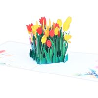 3D for Pop Up Greeting Card Tulip Flower Birthday Card for Mothers Father 39;s Day Anniversary Valentine 39;s Day Graduation