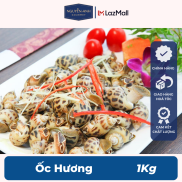 Ốc Hương Nguyên Anh đặc sản Phú Quốc hải sản tươi sống như cá, tôm tươi