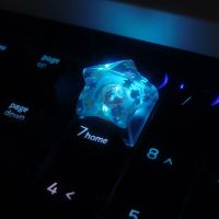 （Miss qis keycap）พวงกุญแจรูปดาวแบบโปร่งใสทำมือมีอุ้งเท้าแมวโปร่งแสง ESC Backlit Keycap ความสูงของ R4สำหรับสวิตช์ MX คีย์บอร์ดแบบกลไก