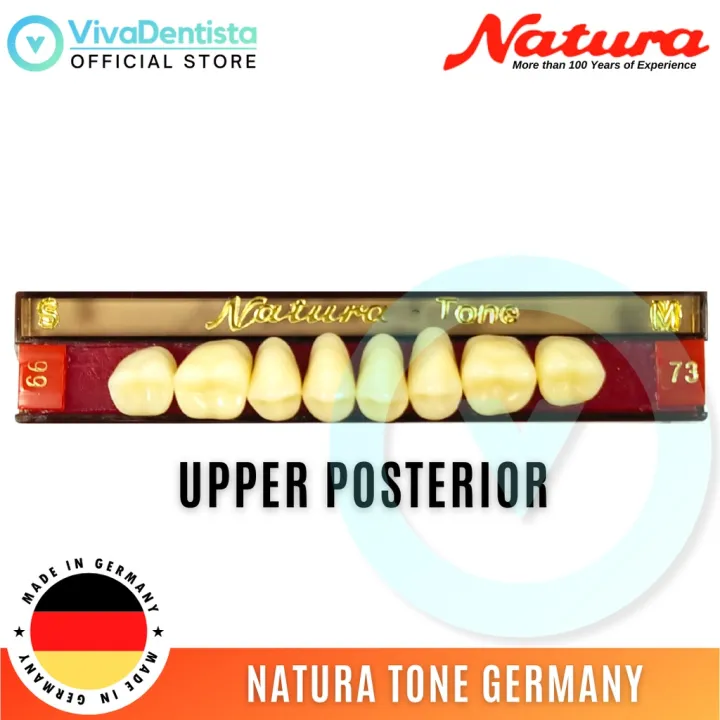 Natura Tone Germany (Upper Posterior) Cross-linked Acrylic Resin Teeth  Artificial Dental Pontics | Lazada PH