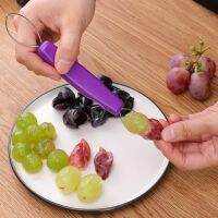 【CC】♠  Peeler Anti-Rust to Reusable Raisin Supply