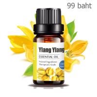 Aliztar 100% Pure Ylang Ylang Essential Oil 10 มิล. น้ำมันหอมระเหยกระดังงาแท้ สำหรับอโรมาเทอราพี เตาอโรมา เครื่องพ่นไอน้ำ ผสมน้ำมันนวดผิว ทำเทียนหอม