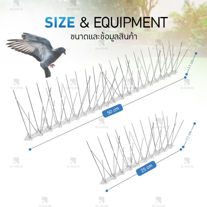 หนามไล่นก-b-home-ที่กันนกพิราบ-หนามกันนกพิราบ-ที่กันนกเกาะ-กันนกพิราบ-ไล่นกพิราบ-หนามไล่นก-อุปกรณ์ไล่นก-bird-spikes-สแตนเลส-เหล็กกันนก-an-bdspi-01