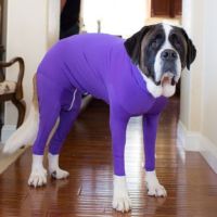 Large Dog Pajamas Jumpsuit Dog Neuter Shirt Anti-Shedding Suit Big Dog Onesie Recovery Suit Clothes Apparel Stretchy Dog Jammies