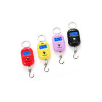 25Kg X 10g Cute Mini Digital Scale for Fishing Luggage Travel Weighting Keychain Portable Hanging Electronic Hook Kitchen Tool Luggage Scales