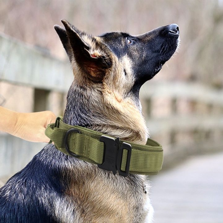 ปลอกคอยุทธวิธี-สายจูงสุนัข-ปลอกคอกลางแจ้ง-ปลอกคอไนลอน-สุนัขขนาดกลางและขนาดใหญ่-ปลอกคอสุนัขทหาร-ปลอกคอฝึกสุนัขยุทธวิธี