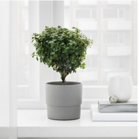 Plant pot, in/outdoor grey9 cm