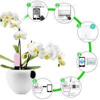 Tuya HHCC Flower Monitor Global Version Flora Monitor Garden Care Plant Grass Soil Water Fertility Smart Tester Sensor Detector