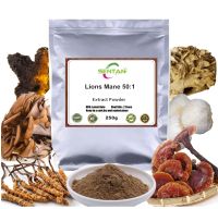 Lions Mane Mushroom Powder Organic | Pure Lions Mane Extract