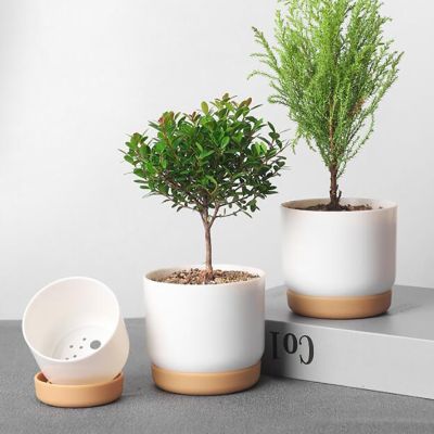 【CC】 Succulent Pot Double-layer Round Layer Small Flowerpot