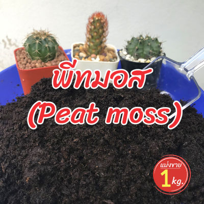 พีทมอส (Peat moss) พีชมอส วัสดุปลูก นำเข้าคุณภาพสูง ดินปลูกต้นไม้ เพาะเมล็ด 1 กิโล homes