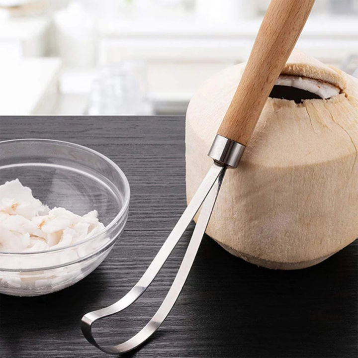 Coconut Meat Remover Stainless Steel Scraper Coconut Silk Digging